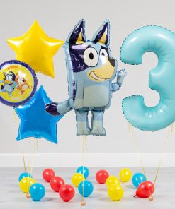 Bluey Balloon Package